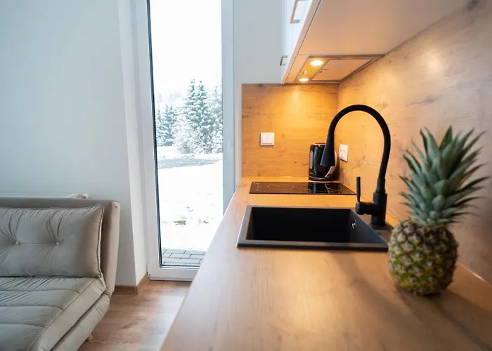 Apartment Swierkowy 3 Dolina Szczescia Invest